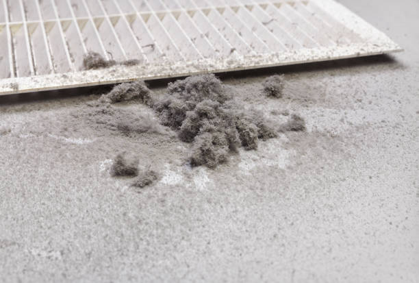 Best Air Duct Sanitizing Services  in Kahoka, MO
